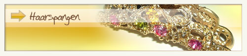 Hair Barrette